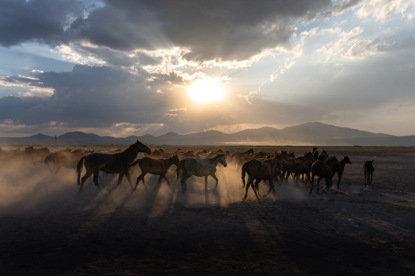 Across the Plain (Kayseri 2024)