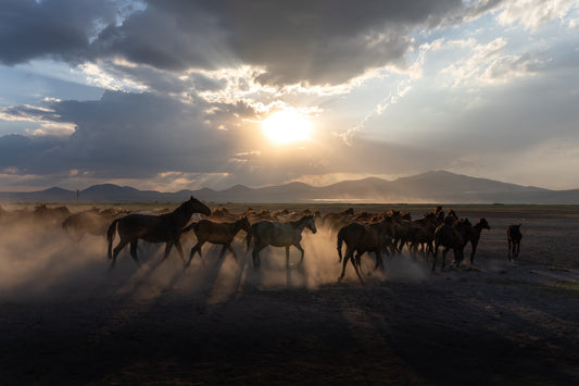 Across the Plain (Kayseri 2024)