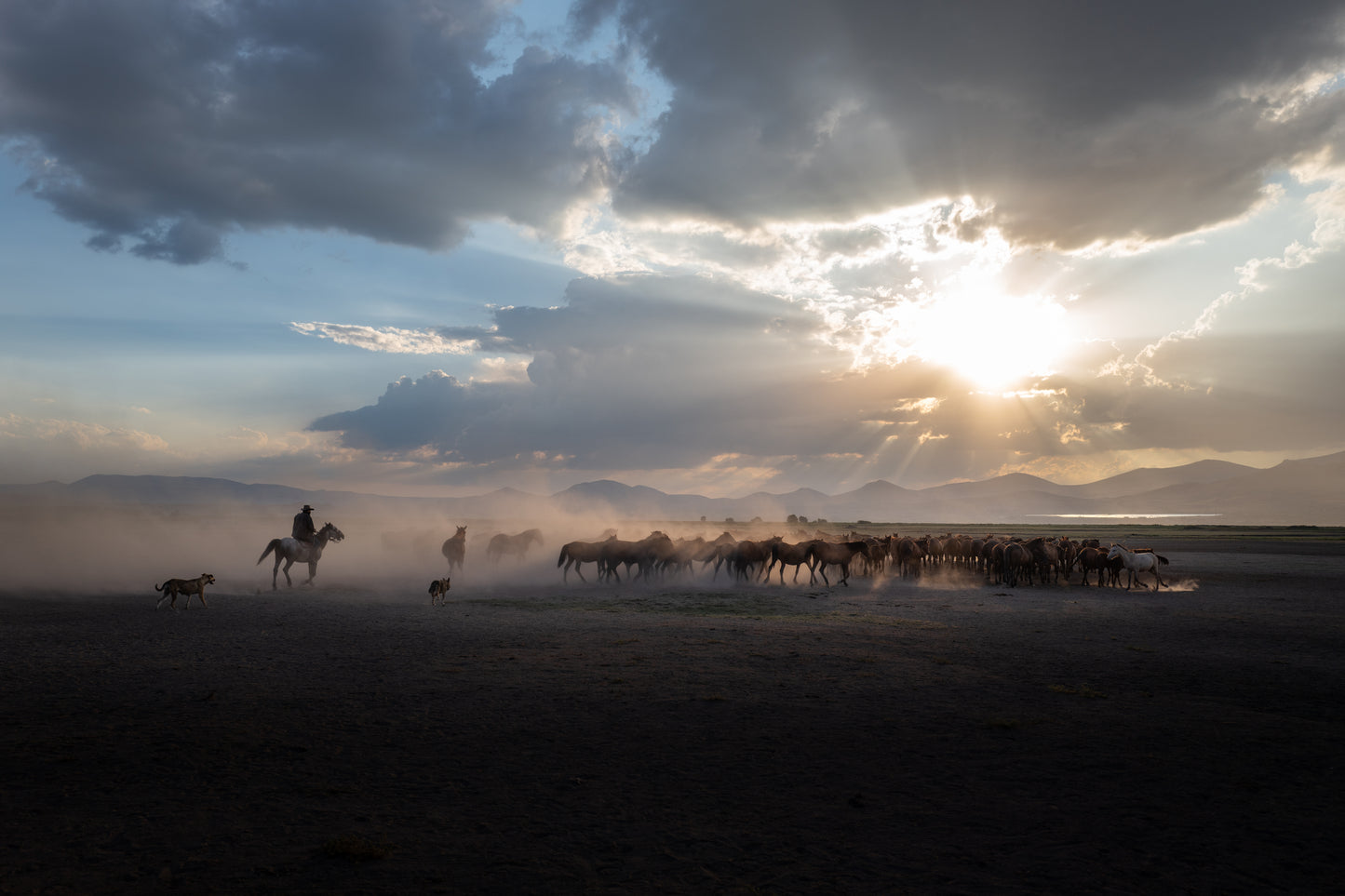 Toward Evening (Kayseri 2024)
