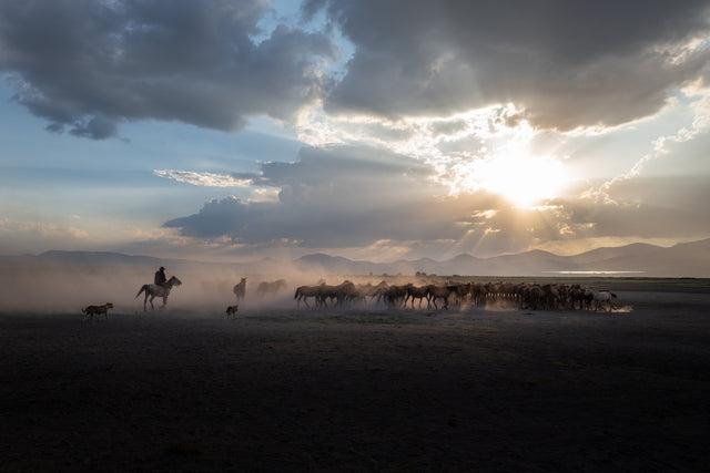 Toward Evening (Kayseri 2024)