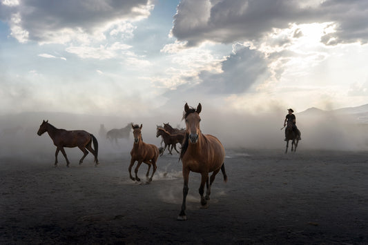 Horses running on a dusty plain with a cloudy sky