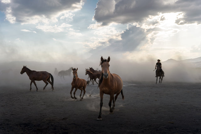 Horses running on a dusty plain with a cloudy sky